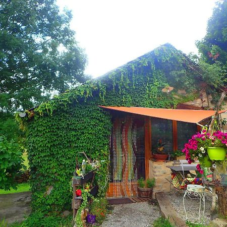 Mas De La Boheme - L'Hermet Bed & Breakfast Saint-Leons Exterior photo